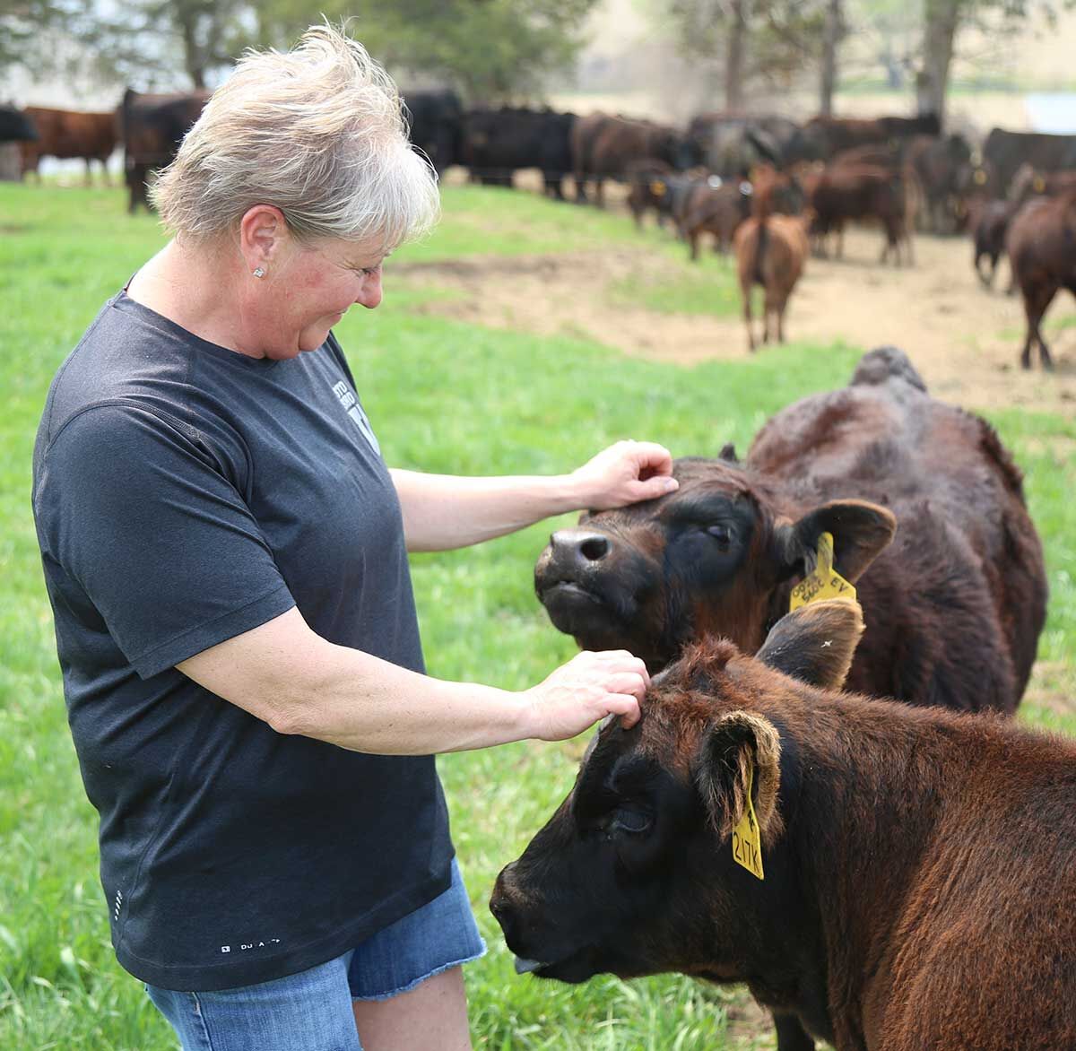Deb Miller with calves